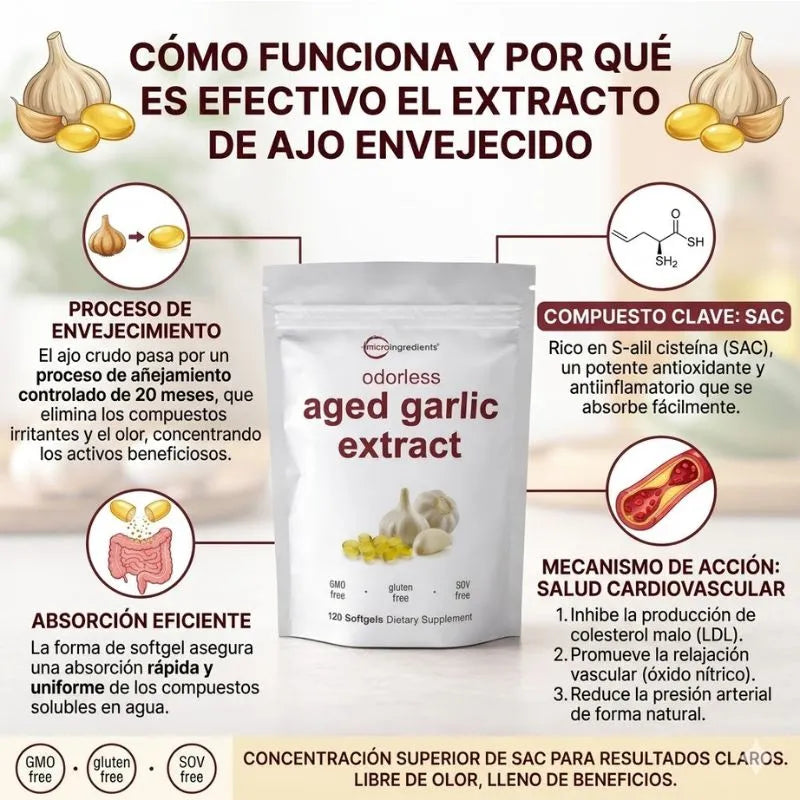 Aged Garlic Extract