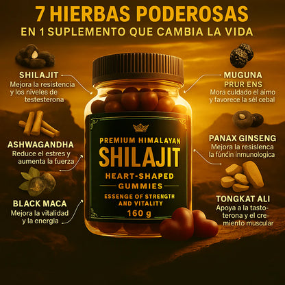 Shilajit Gomas | x60 Und.