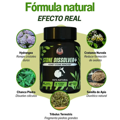 Stone Dissolver | Elimina cálculos y desintoxica
