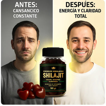 Shilajit Gomas | x60 Und.